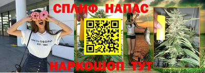 спиды Гагарин