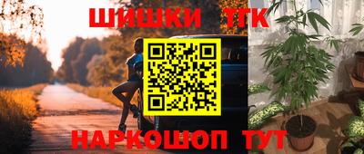 спиды Гагарин