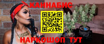 спиды Гагарин