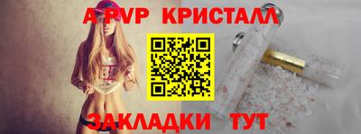 шишки Гатчина