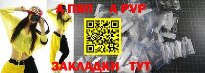 шишки Гатчина